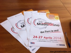 36^ fiera del Madonnino2